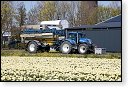 landbouw industrie hdr vee polder agrarisch agricultuur milieu klimaat stikstof co2